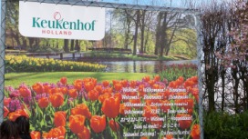 2014-04-17 Holland Tulips 01.jpg